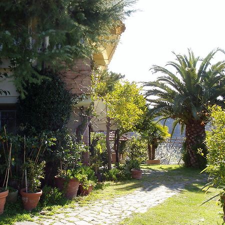 La Chandelle Massarosa Buitenkant foto